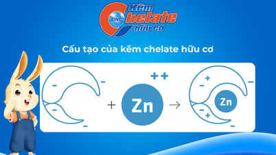 Organický chelát zinku – Řešení pro více než 60 % vietnamských dětí s nedostatkem zinku.