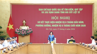 Vice premiärminister Pham Thi Thanh Tra: Prioritera resurser för arbetet med att samla in kvarlevorna av stupade soldater.