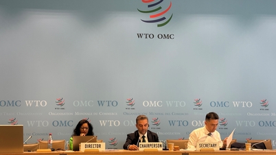 Vietnam tájékoztatást nyújt a WTO-n belüli kibővített információtechnológiai megállapodáshoz (ITA2) való csatlakozásáról szóló tárgyalások előrehaladásáról.