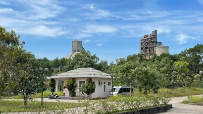 Використання альтернативних видів палива у виробництві клінкеру