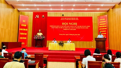 Tras la reorganización, el distrito de Hoang Mai redujo en 46 el número de grupos residenciales y en 7 el número de secciones subordinadas del Partido.