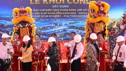 Đắk Lắk đồng loạt triển khai 8 dự án trọng điểm, vốn đầu tư hơn 11.000 tỷ đồng