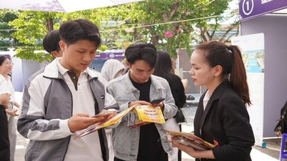 Lao động trẻ Đà Nẵng ưu tiên kinh nghiệm hơn lương cao