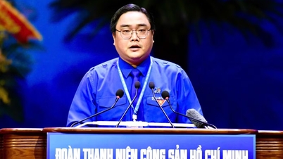 Tạo điều kiện để thanh niên được tham gia sâu hơn vào quá trình nghiên cứu khoa học