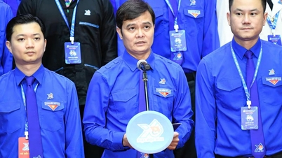 Xây dựng tổ chức Đoàn vững mạnh về chính trị, tư tưởng, đạo đức, tổ chức và hành động