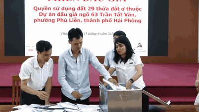 Phu Lien leiloou com sucesso 29 terrenos, gerando uma receita superior a 60 bilhões de VND.