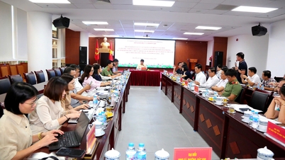 Ensuring the best conditions for protecting children at the grassroots level.