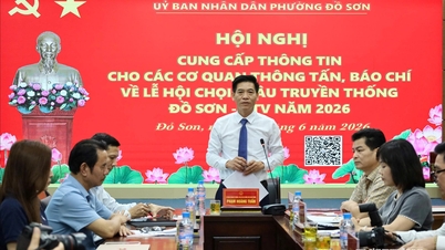 ควาย 32 ตัวจะเข้าร่วมในรอบคัดเลือกของการแข่งขันชนควายโดซอนแบบดั้งเดิม