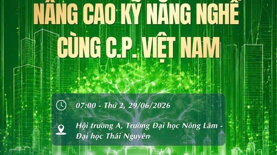 Sidste runde af “Forbedring af professionelle færdigheder med CP Vietnam”: Sig fra med selvtillid - Gennembrud til succes!