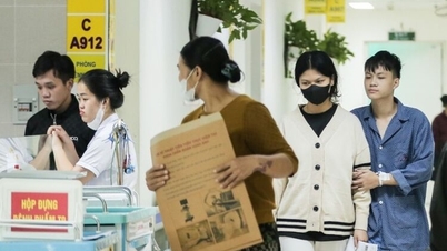 保健省は、65歳以上の人々に無料の健康保険を提供するという提案について、どのような見解を示していますか？