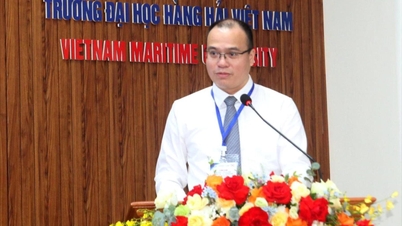 Thúc đẩy chuyển đổi xanh ngành hàng hải từ năng lượng mới và điều khiển thông minh