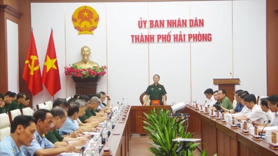 El Comité Directivo Central para la Defensa Aérea Popular realiza una inspección en la ciudad de Hai Phong.