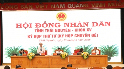 Thai Nguyenin maakunnan kansanneuvosto hyväksyi päätöslauselman kahdeksan uuden vaalipiirin perustamisesta.