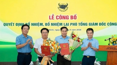 A Binh Dien Fertilizer Company kinevez egy sor kulcsfontosságú vezetőt.