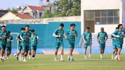 หลังจากได้รับการเลื่อนชั้น สโมสร Truong Tuoi Dong Nai ก็แยกทางกับผู้เล่น 10 คนทันที