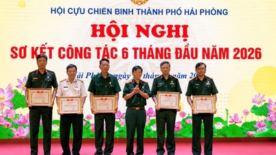 Hai Phongin veteraaniyhdistys hallinnoi yli 2,318 miljardia Vietnamin dongia uskottua lainapääomaa.