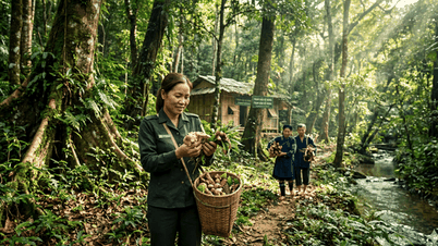 From June 25th, several new, stricter regulations will be implemented regarding penalties for forestry violations.