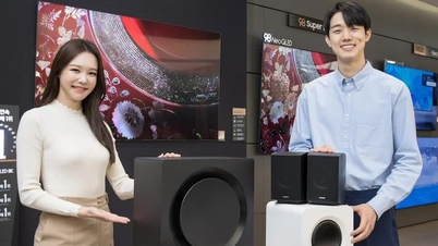 삼성은 유명 오디오 브랜드 중 몇 개를 소유하고 있습니까?