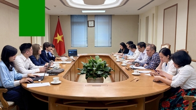 Việt Nam - Pháp thúc đẩy hợp tác về AI, dữ liệu và an ninh mạng