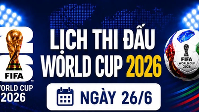 WM-Spiele am 26. Juni: Deutschland gegen Ecuador, Japan gegen Schweden