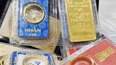 Ціна золота 9999 сьогодні, вдень 25 червня 2026 року: прайс-лист на золото 9999, золоті каблучки BTMC, BTMC та DOJI закрився у четвер.