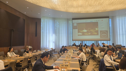 WTO میں ویت نامی وفد فلپائن کی تجارتی پالیسی کے جائزہ اجلاس سے خطاب کر رہا ہے۔