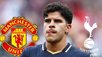 Manchester United a été devancé par Tottenham dans la course à la signature de Mateus Fernandes.