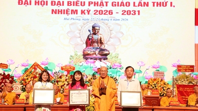 Hai Phong Şehri Vietnam Budist Derneği, şehirdeki Budist faaliyetlerine katkıda bulunan kişilere liyakat belgeleri verdi.