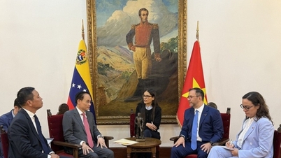 Fast besluten att ytterligare utveckla relationerna mellan Vietnam och Venezuela i den nya fasen.