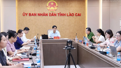 Lao Cai deltar i den nationella konferensen om barnskydd.