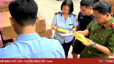 Hanoi: 57.000 adet sahte Banobagi yüz maskesi ele geçirildi.