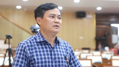 Quang Ngai mengkritik Direktur Departemen Pertanian dan Lingkungan Hidup atas lambatnya implementasi basis data lahan.
