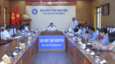 A Thai Nguyen Egyetem igazgatója az Idegen Nyelvek Tanszékével dolgozik.