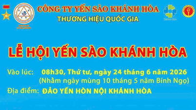 La industria de los nidos de pájaro de Khanh Hoa rinde homenaje a un oficio con casi 700 años de antigüedad.