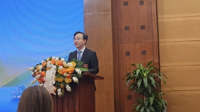 Muitas atividades extraordinárias acontecerão no Festival da Paz de 2026 em Quang Tri.