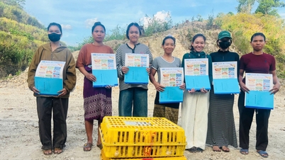 A província de Quang Tri fornece 13.800 pintinhos para pessoas em áreas desfavorecidas.
