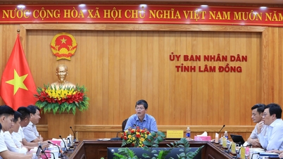 จังหวัดลำดงกำลังพิจารณาลงทุนพัฒนาทางด่วนสายหลักสองสายอย่างครบวงจร