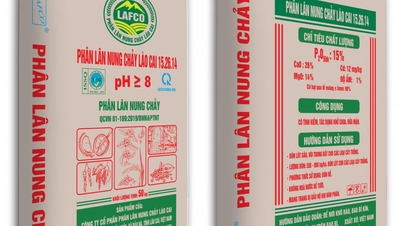Pilihan untuk tanah yang sehat: LAFCO menemani petani di setiap musim tanam.