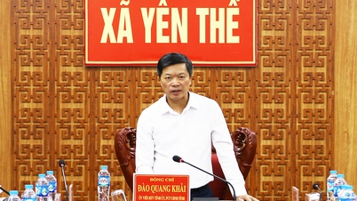 Nestleder i den provinsielle folkekomiteen, Dao Quang Khai, inspiserte den sosioøkonomiske utviklingssituasjonen i fem kommuner.