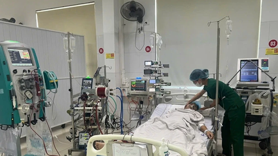 Rettung eines Patienten mit akuter fulminanter Myokarditis und multiplem Organversagen in Nghe An.