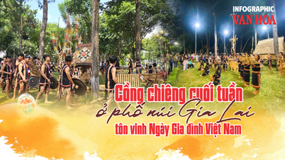 (Infografica) "Spettacolo di gong e tamburi del fine settimana" nella cittadina montana di Gia Lai per celebrare la Giornata della Famiglia vietnamita