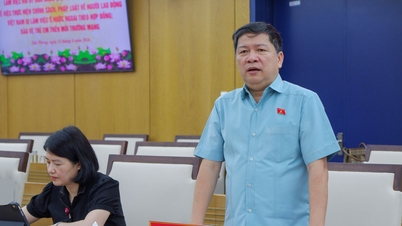 Il gruppo di ricerca del Comitato per la Cultura e gli Affari Sociali ha collaborato con il Comitato Popolare della città di Hai Phong.