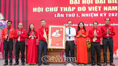 Il signor Nguyen Van Khoi ricopre la carica di presidente della sezione provinciale della Croce Rossa di Ca Mau.