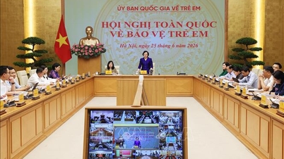 La tutela dei minori è una priorità assoluta nella strategia di sviluppo umano del Vietnam.