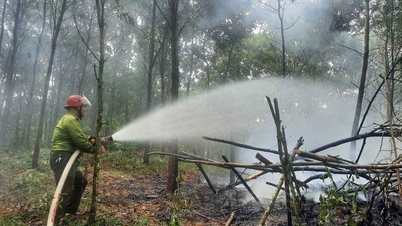 Implement decisive and urgent measures for forest fire prevention and control.
