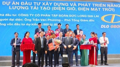 តើ​គម្រោង​ថាមពល​កកើតឡើងវិញ​ណាខ្លះ​ដែល​ខេត្ត Gia Lai ទើបតែ​ទទួលបាន​វិនិយោគិន​ថ្មីៗ​នេះ?