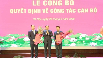 Phó Giáo sư, Tiến sĩ Phạm Minh Sơn được bổ nhiệm lại chức Giám đốc Học viện Báo chí và Tuyên truyền