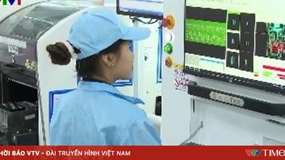 반도체 기술은 첨단기술지구에 투자자들을 끌어들이고 있습니다.