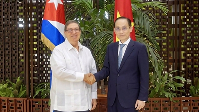 La visita dell'Inviato Speciale del Segretario Generale e del Presidente a Cuba e in Venezuela ha prodotto numerosi risultati positivi.