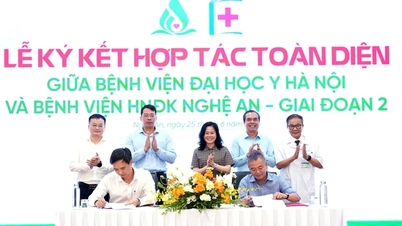 Rumah Sakit Universitas Kedokteran Hanoi berkolaborasi untuk meningkatkan kualitas pemeriksaan dan pengobatan medis di Nghe An.